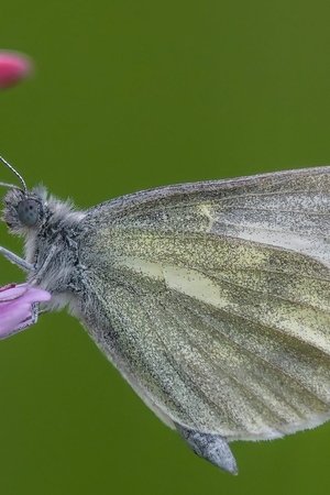 2. epizoda