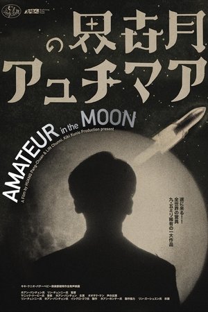 Amateur in the Moon