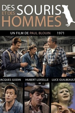 Des souris et des hommes