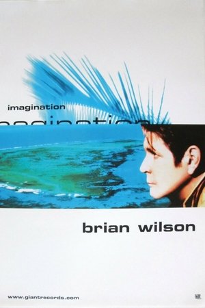 Brian Wilson’s Imagination