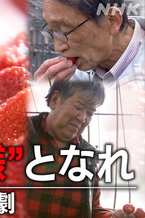 Episode 86