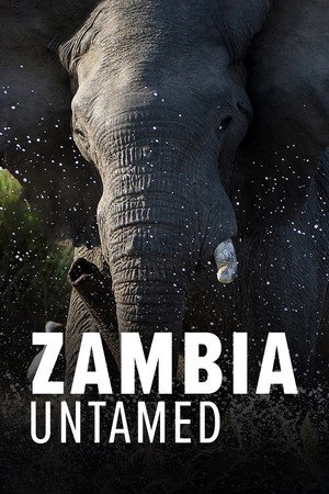 Zambia Untamed