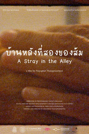 A Stray in the Alley