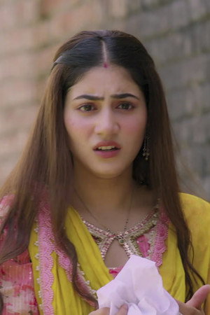 Heer Rushes to Save Nawab
