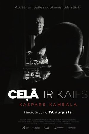 Ceļā ir kaifs