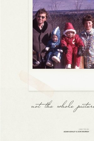Not The Whole Picture