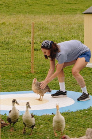 More chickens and French opening