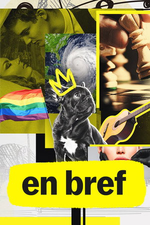 En bref
