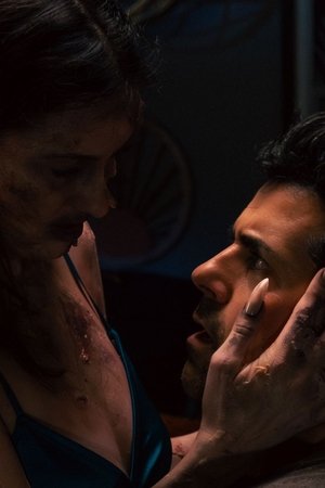 The Shape of Us