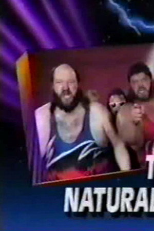 June 29, 1991 - Superstars of Wrestling 252