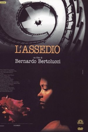 L'assedio