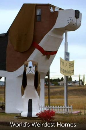 World's Weirdest Homes
