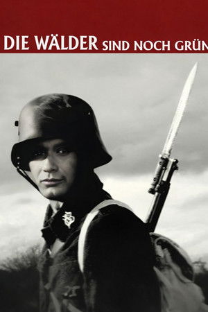 Die Wälder sind noch grün