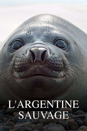 L'Argentine sauvage