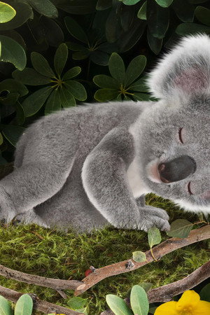 Save the Sleeping Cutie! / Help the Dress-Up Bear!