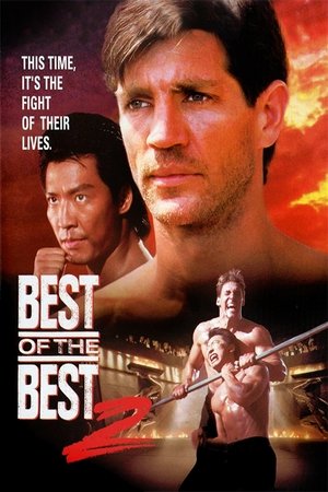 Karate tiger 6: Nejlepší z nejlepších 2