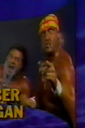 July 22, 1989 - Superstars of Wrestling 151