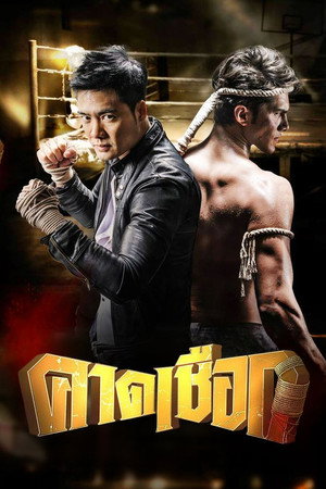 คาดเชือก