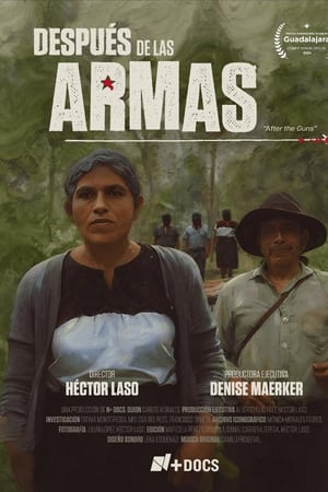 Después de las armas