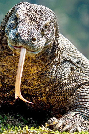 Where Worlds Collide