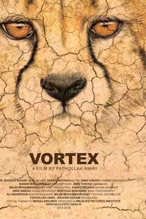 Vortex