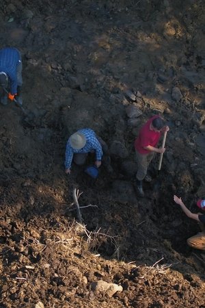 18. epizoda