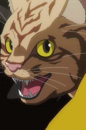 episode