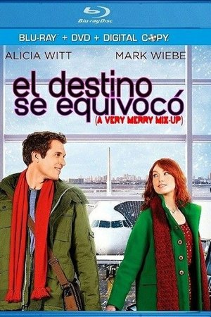 A Very Merry Mix-Up