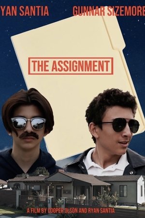 The Assignment