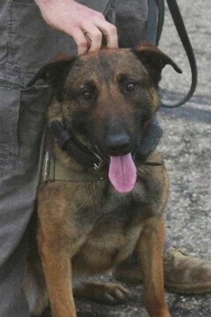 Final Warning