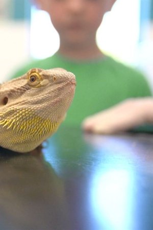 12. epizoda
