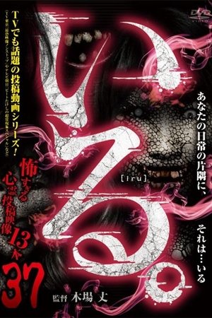 「Iru.」~ Kowasugiru Tōkō Eizō 13-hon ~ Vol.37