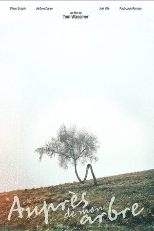 Auprès de mon arbre