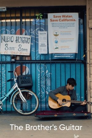 The Brother's Guitar