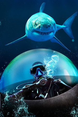 Mission Shark Dome