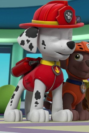 Pups Save a Wrongway Farmhand