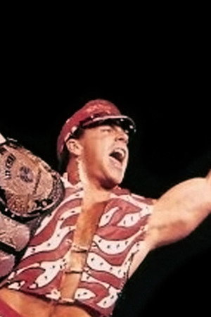 SummerSlam 1996