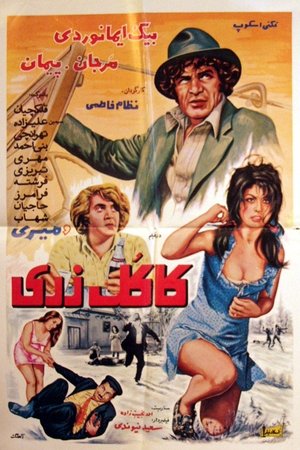 Kakol Zari