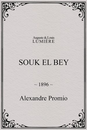 Souk el Bey