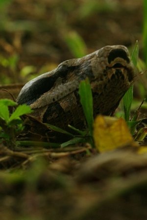 3. epizoda