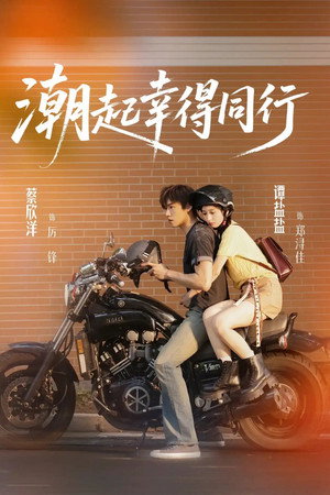 潮起幸得同行