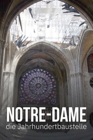 Notre-Dame, die Jahrhundertbaustelle