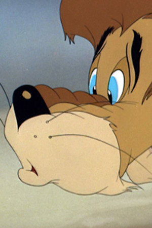 Jerry and the Lion