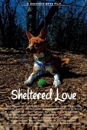 Sheltered Love