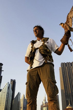 Veľkomestá - prežitie v mestskej džungli