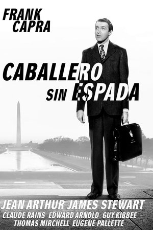 Caballero sin espada