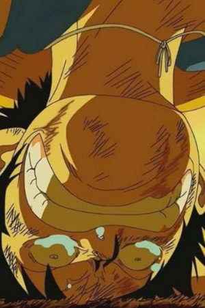 Eliminated Friends – The Final Day of the Straw Hat Crew