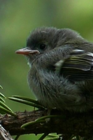 7. epizoda