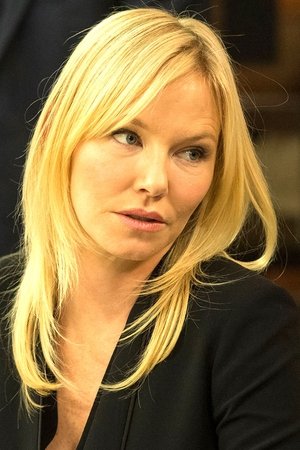 Letová rizika
