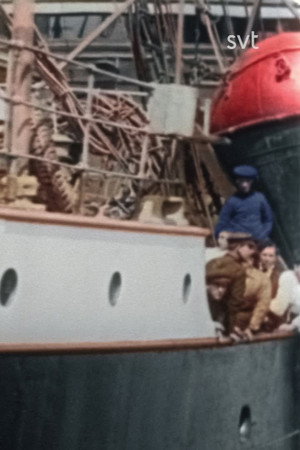 Titanic in color: The Wreck